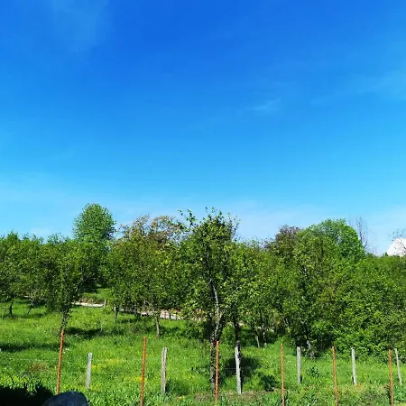 Holiday home Casuta Din Gradina