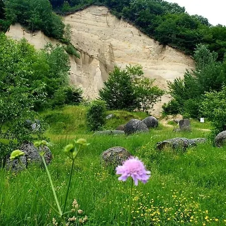 Holiday home Casuta Din Gradina