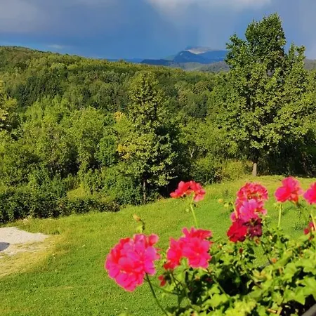 Casuta Din Gradina Holiday home *