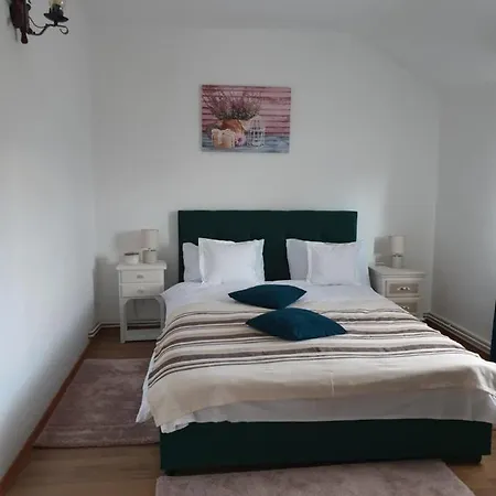 Casuta Din Gradina * Horezu